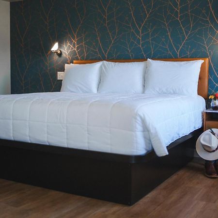 City Center Motel Hamilton Esterno foto